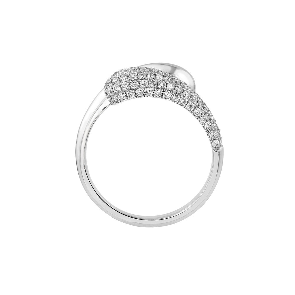 Celestia ring